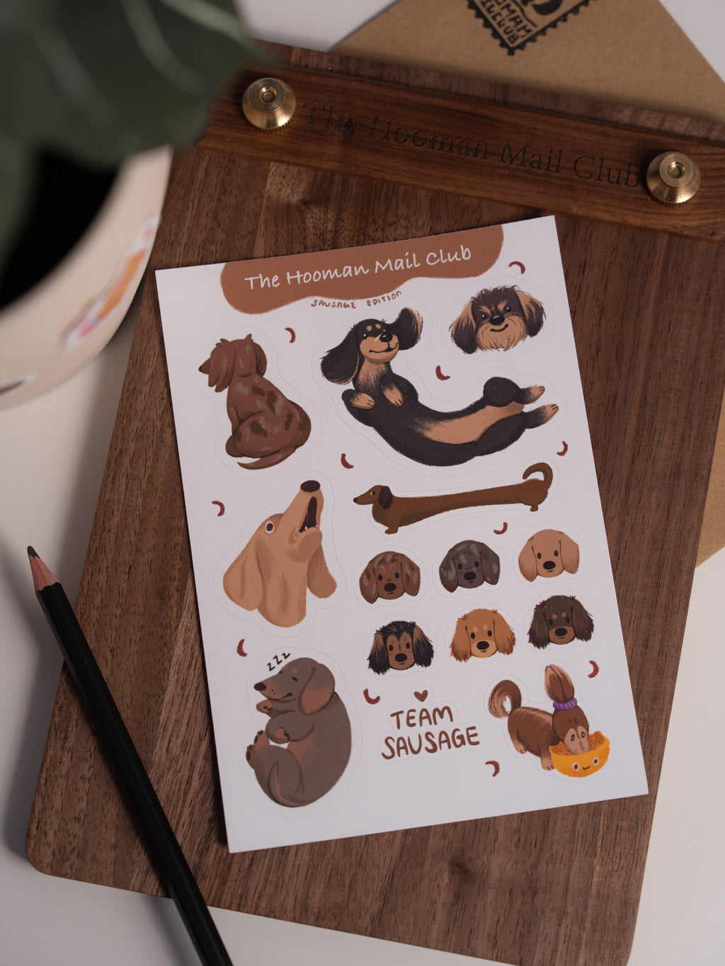 Sticker Sheet | Team Doxie