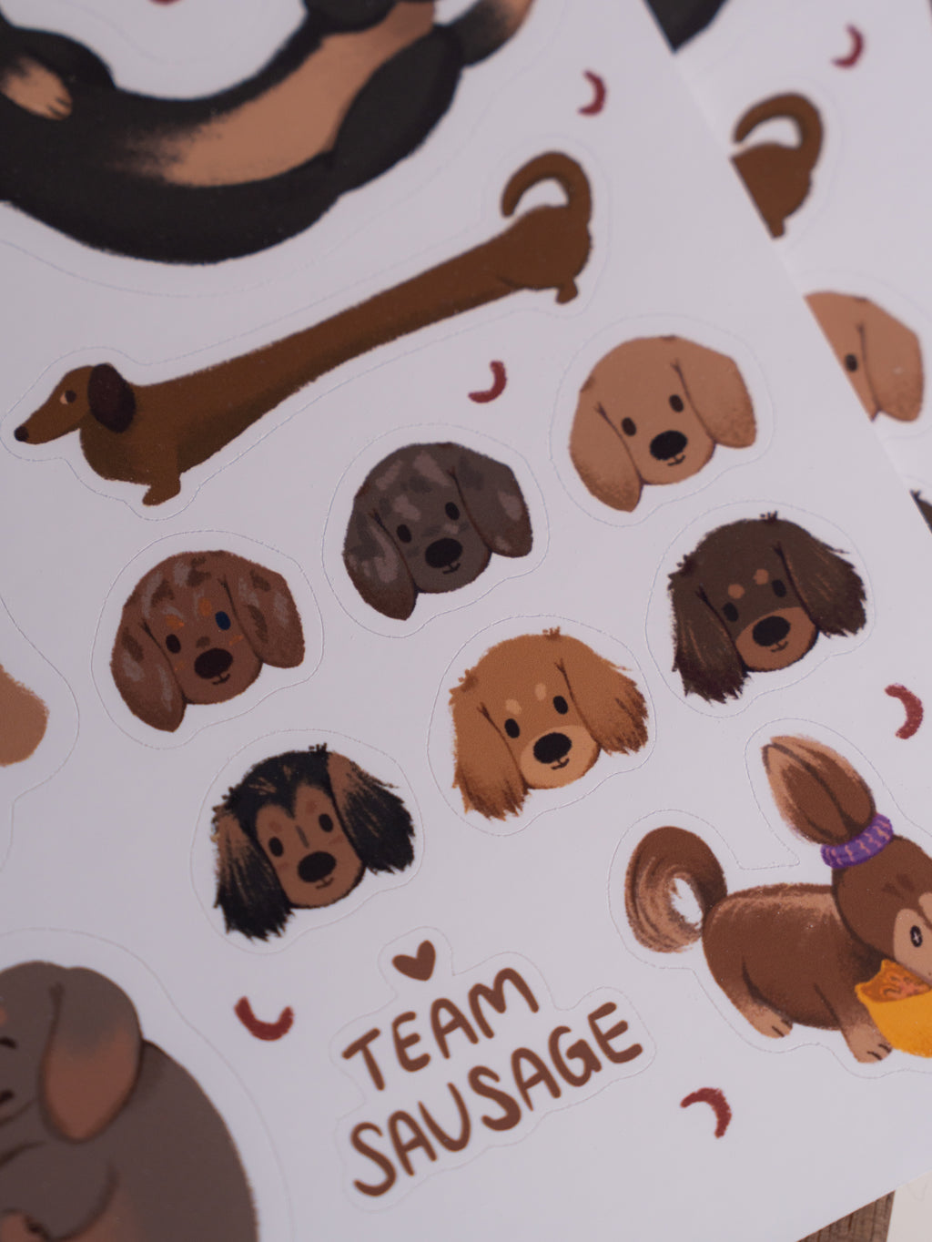 Sticker Sheet | Team Doxie