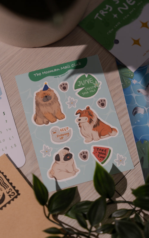 Catch-up Mail (June)